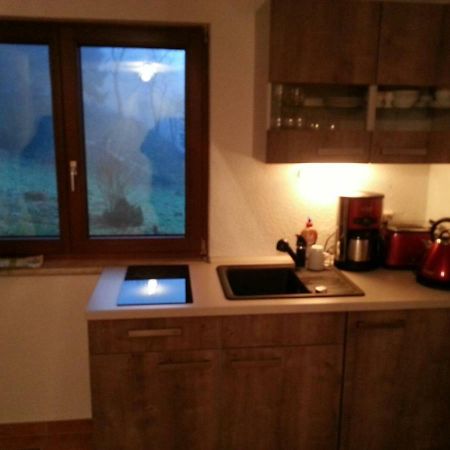 Ferienhaus Moosbachtal Thueringer Wald Bei Oberhof Rotterode Eksteriør billede