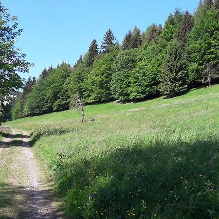 Ferienhaus Moosbachtal Thueringer Wald Bei Oberhof Rotterode Eksteriør billede