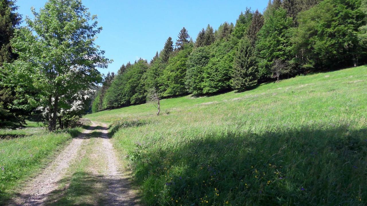 Ferienhaus Moosbachtal Thueringer Wald Bei Oberhof Rotterode Eksteriør billede