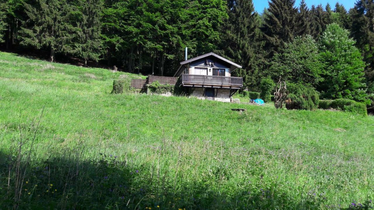 Ferienhaus Moosbachtal Thueringer Wald Bei Oberhof Rotterode Eksteriør billede